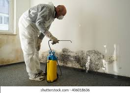 Best Mold Odor Removal Services  in Pamplico, SC